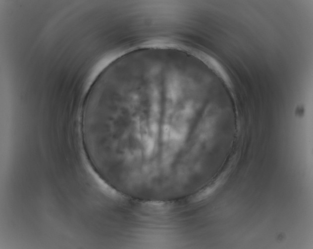 X0000092010855200709271528