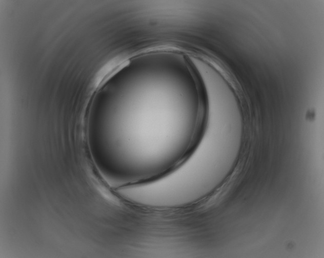 X0000092010858200709271528