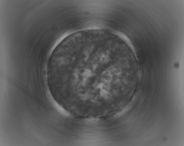 X0000092010859200709271528