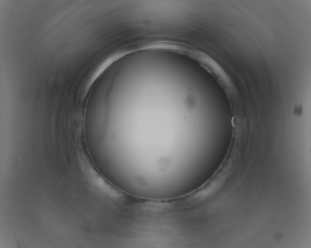 X0000092010860200709271528