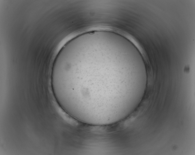 X0000092010861200709271528