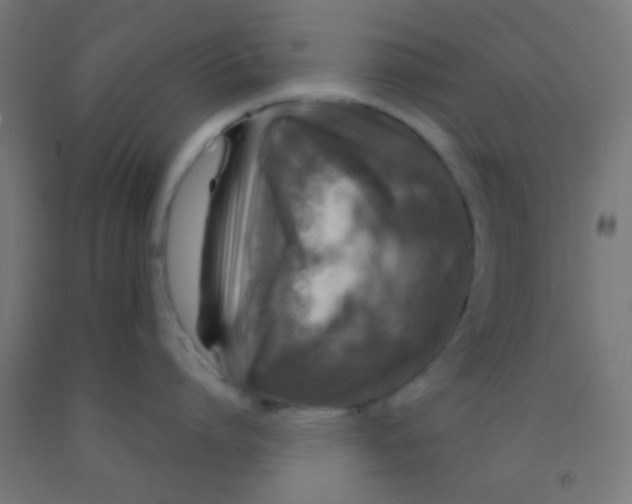 X0000092010864200709271528