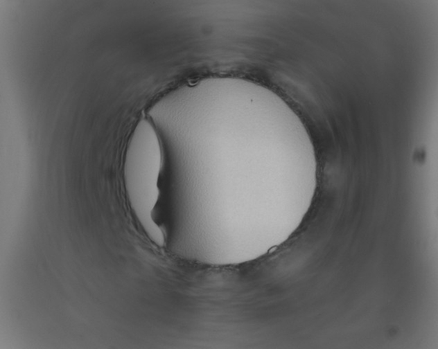 X0000092010865200709271527