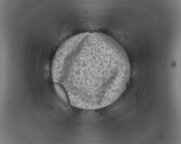 X0000092010866200709271527