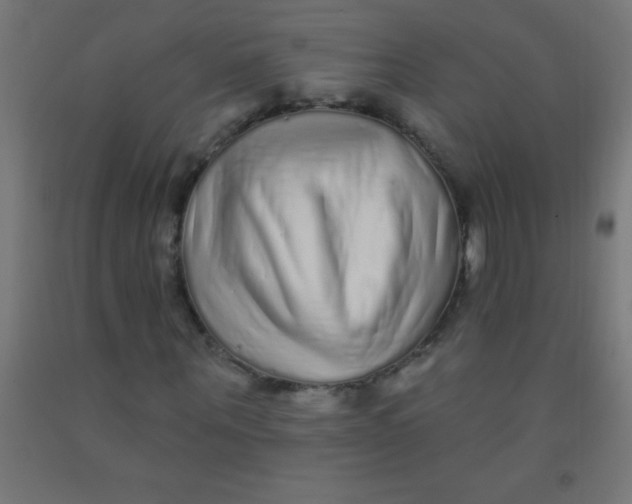 X0000092010867200709271527