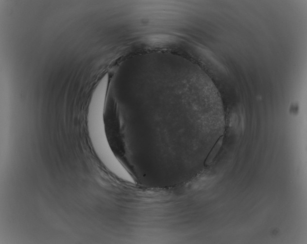 X0000092010868200709271527