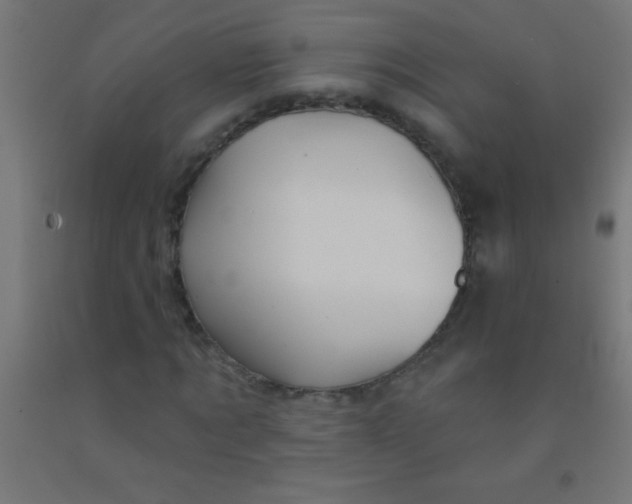 X0000092010869200709271527