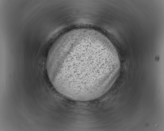 X0000092010870200709271527