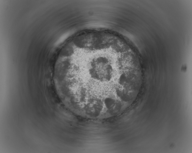 X0000092010871200709271527