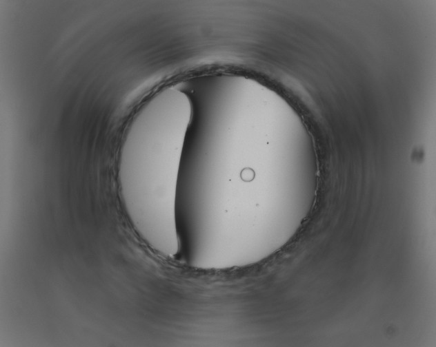 X0000092010872200709271527