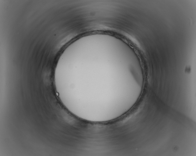 X0000092010873200709271527