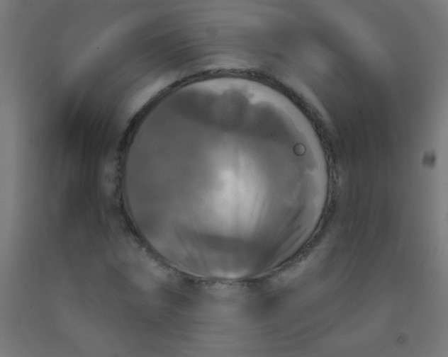 X0000092010874200709271527