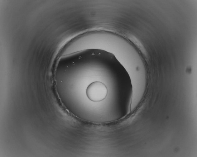 X0000092010876200709271527