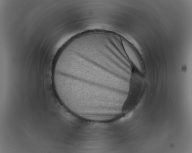 X0000092010877200709271527