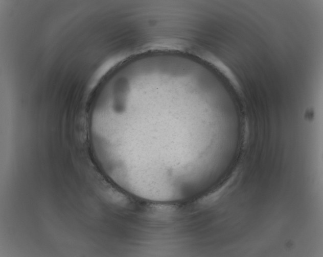 X0000092010878200709271527