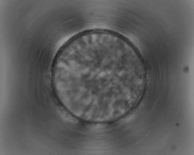 X0000092010879200709271527