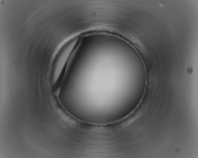 X0000092010880200709271527