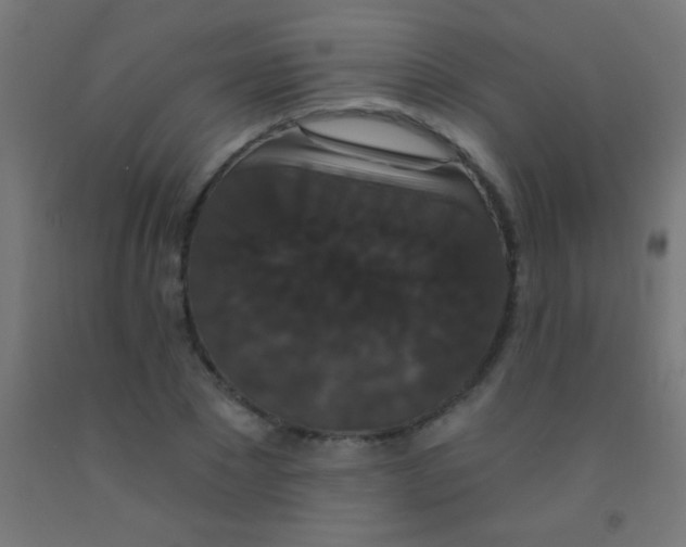 X0000092010881200709271527