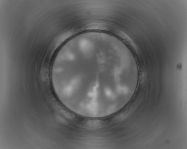 X0000092010882200709271527