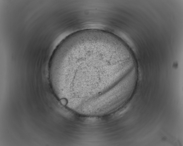 X0000092010883200709271527