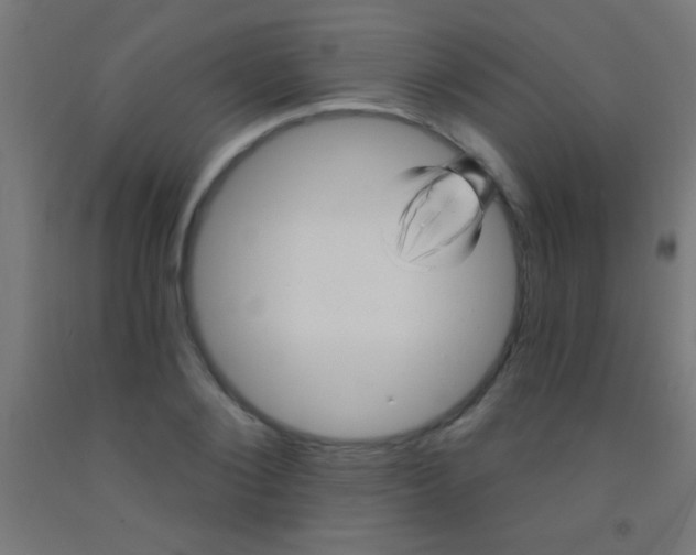 X0000092010884200709271527