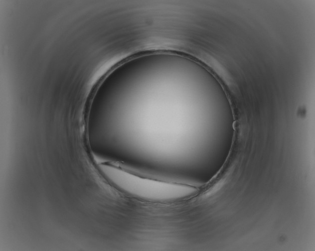 X0000092010885200709271527