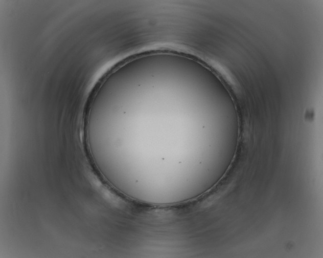 X0000092010888200709271527