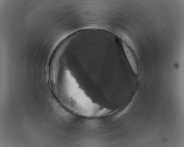 X0000092010892200709271527