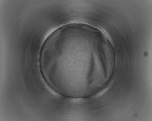 X0000092010893200709271527