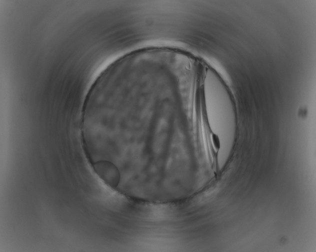 X0000092010895200709271527