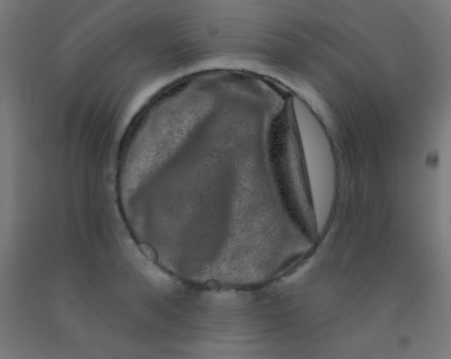 X0000092010896200709271527