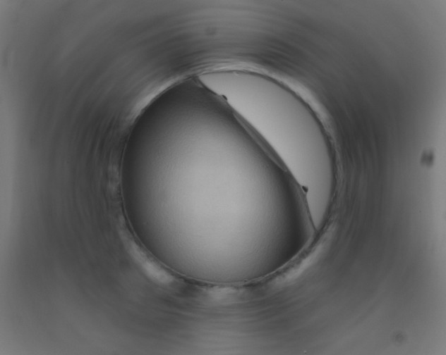 X0000092010897200709271527