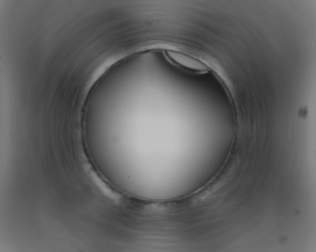 X0000092010898200709271527