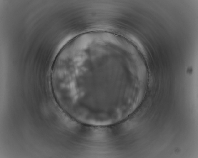 X0000092010899200709271527