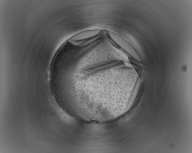 X0000092010900200709271526