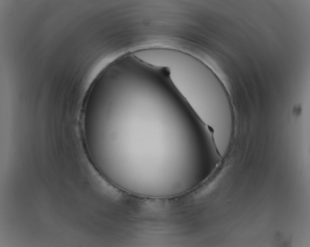 X0000092010901200709271526