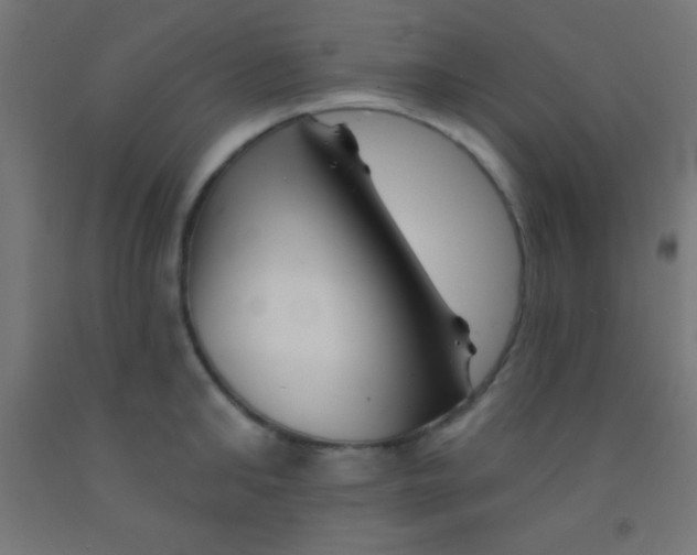 X0000092010902200709271526