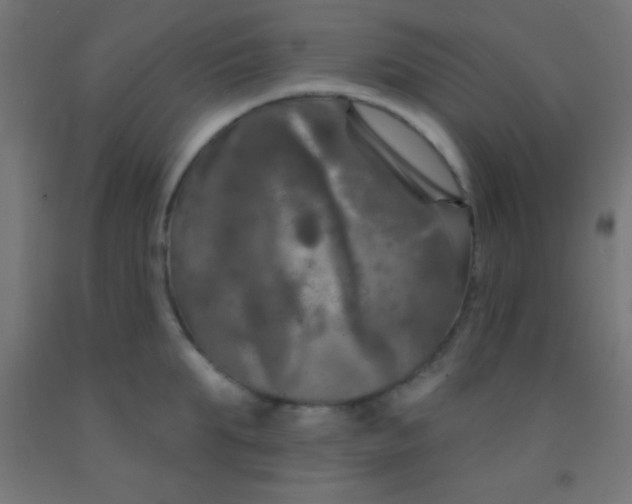 X0000092010903200709271526