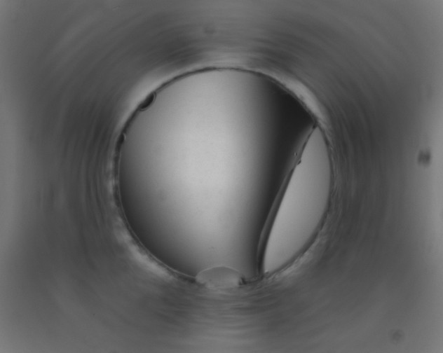 X0000092010904200709271526