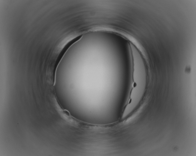 X0000092010905200709271526