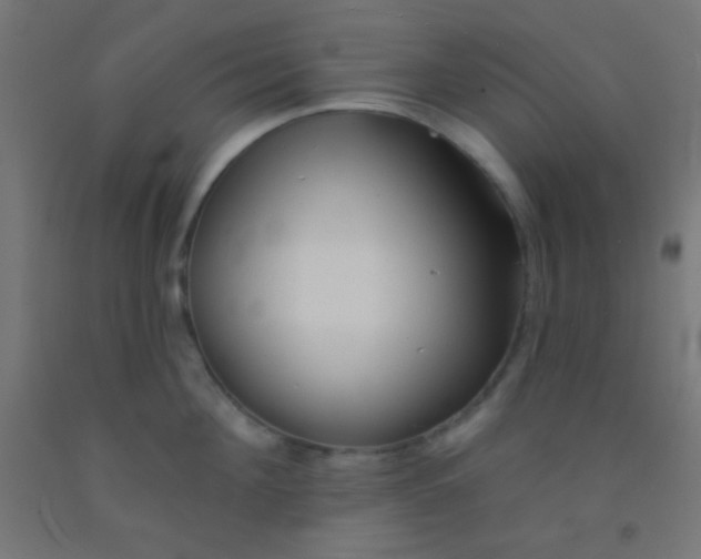 X0000092010908200709271526