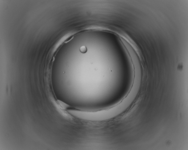 X0000092010909200709271526