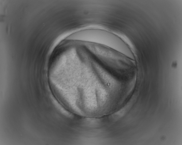 X0000092010910200709271526