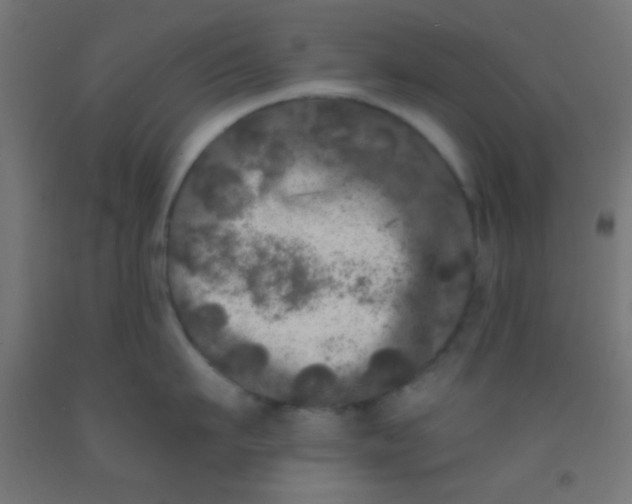 X0000092010911200709271526