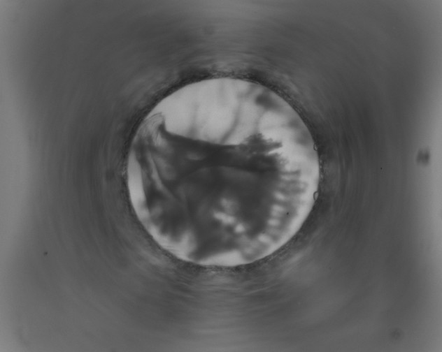 X0000092010913200709271526