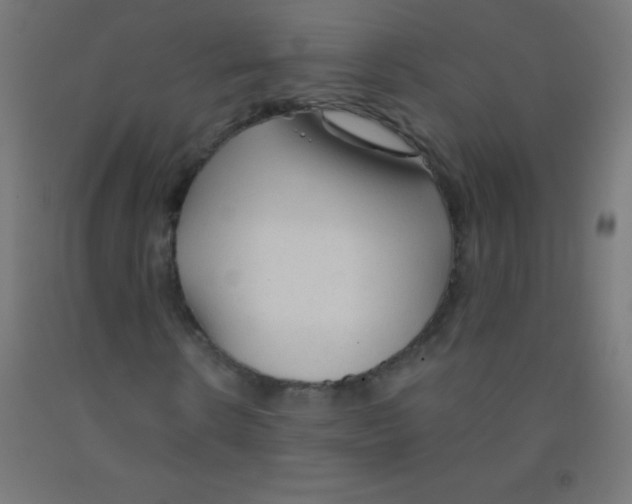 X0000092010914200709271526