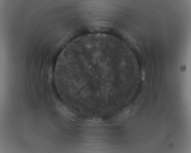 X0000092010915200709271526