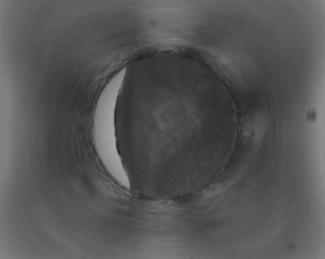 X0000092010916200709271526