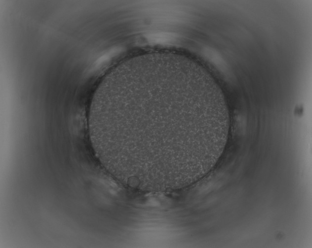 X0000092010918200709271526