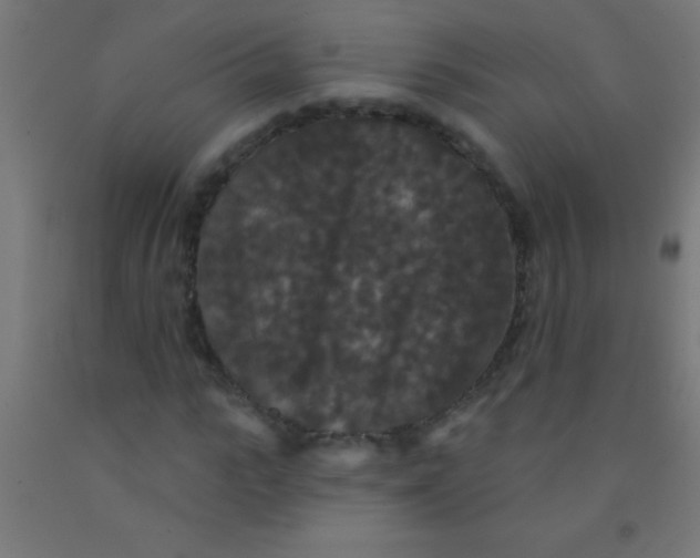 X0000092010919200709271526